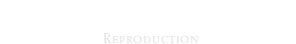リプロダクション Reproduction