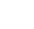 THE GLOBE